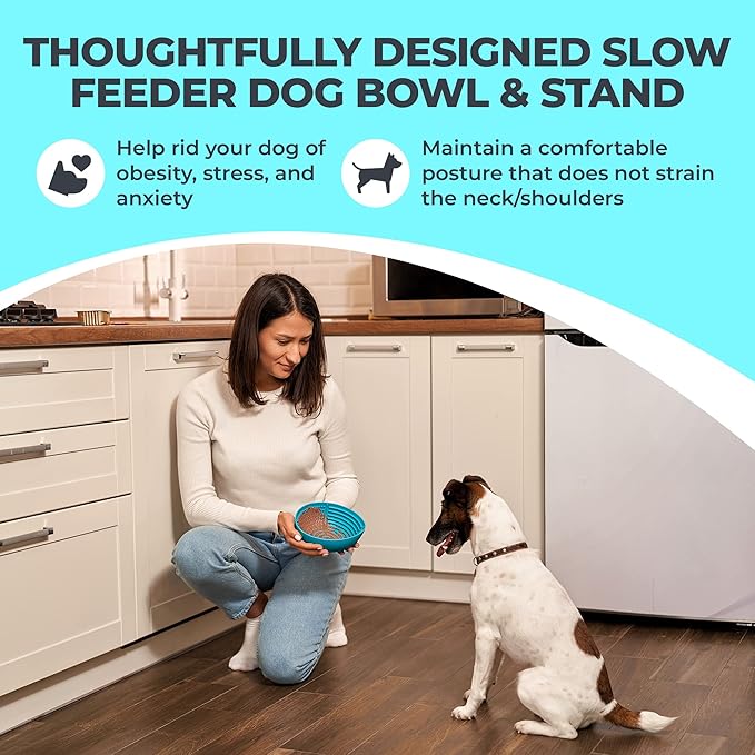 Slow Feeder Dog Lick Bowl 2in1 Elevated Set – Silicone Mat with Suction & Raised Stand, Puzzle Design Slows Eating, Anti-Bloat Interactive Dish, Dishwasher Safe, Gray