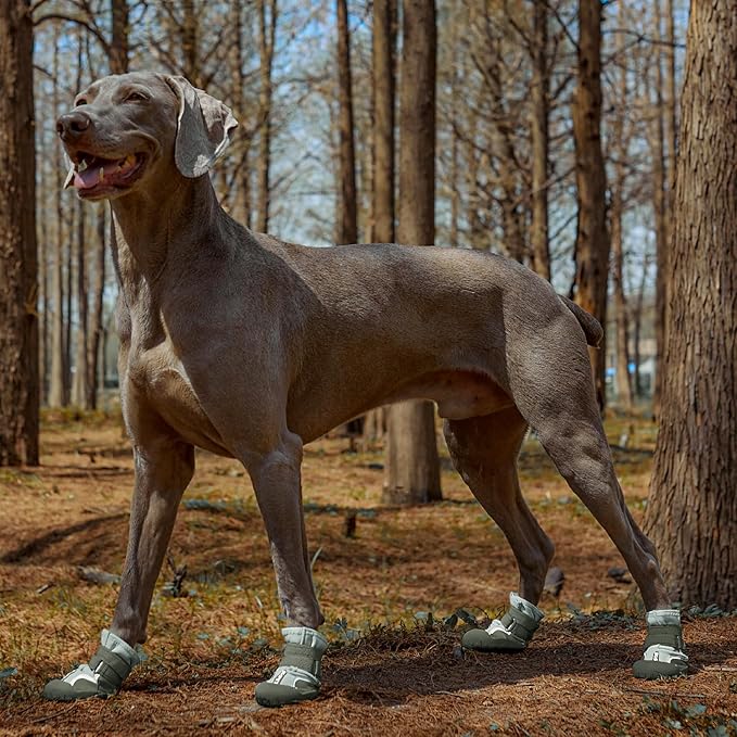 Dog Shoes, Waterproof Dog Boots & Paw Protectors with Anti-Slip Sole, 4pcs/Set Pet Dog Booties, Reflective Dog Shoes for Small Medium Large, Winter Snowy Summer Hot Pavement (Green, 1# (3XS))