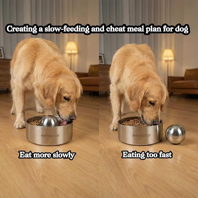 Stainless Steel Dog Slow Feeder – 2-in-1 Pet Bowl 18oz & Slow Feeder Ball 2.5in – Spherical Design Slows Eating & Use Separately or Together (Small)