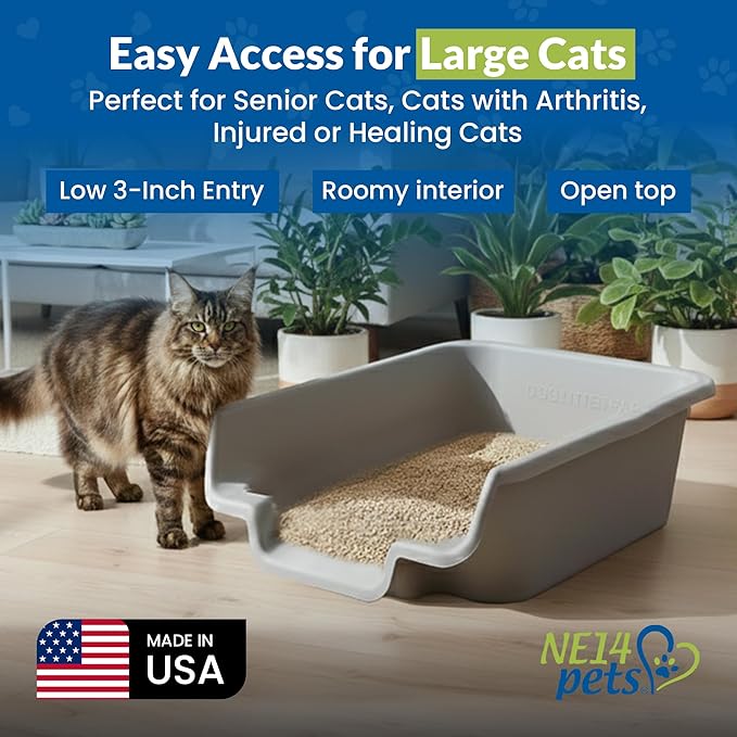 KittyGoHere Senior Cat Litter Box, Jumbo Litter pan, Open Top Low Entrance Kitty Litter Box, Lightweight Low Entry Litters Box, Durable, Made in USA (Misty Gray)