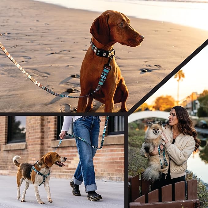 Wolfgang Heavy Duty Adjustable Dog Harness, Pull-Tested to Over 800 lbs for Walking & Training, WesternSky Print, Medium
