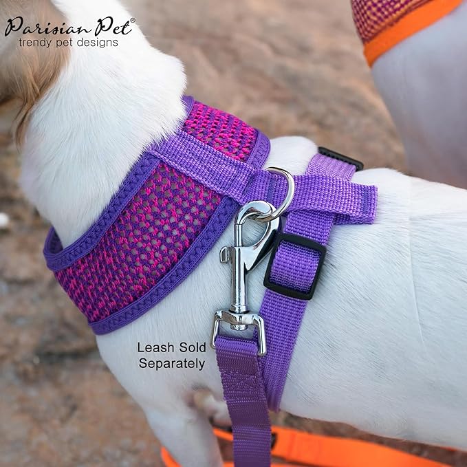 Parisian Pet Girl Dog Harness - Soft Padded Purple/Pink Dog Vest Harness - 100% Mesh Fabric Puppy Harness - Female Cooling Dog Harness for Large Dogs - Idle for Walking, Running, and Hiking - L