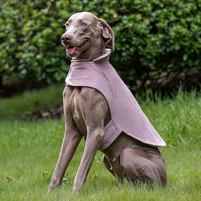 VIVAGLORY Dog Fleece Coat Warm Jacket with Hook and Loop Fastener, Easy to Take on and Off, Winter Vest Sweater for Small Medium Large Dogs Puppy Windproof Clothes for Cold Weather, Pink, XL