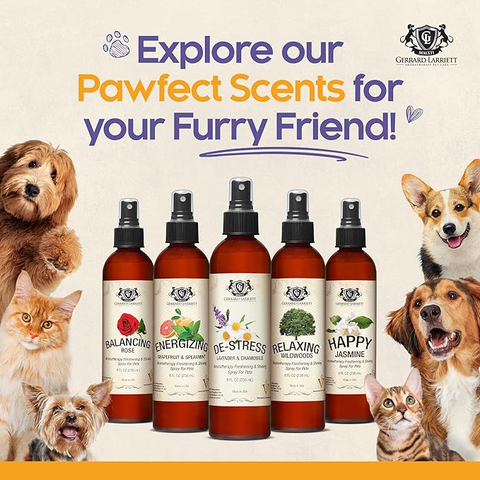 Dog Perfume Spray Long Lasting Grapefruit & Spearmint 8 Fl Oz-Dog Calming Spray Scent Mist for Shining Fur, Puppy Cologne Doggie Deodorant Fragrance Mist Pet Perfume for All Breeds by Gerrard Larriett