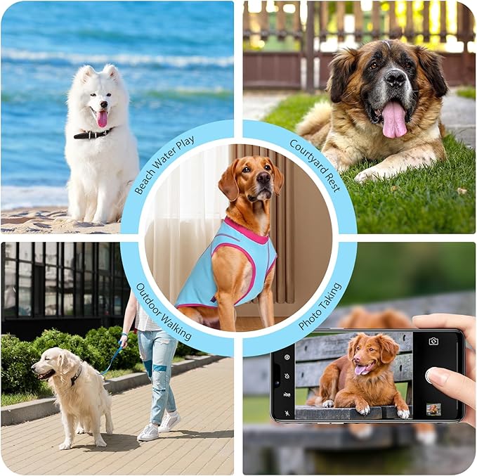 2 Pack Dog Summer Clothes Color Blocking Dog Shirts for Medium/Large Dogs Stretchable Doggy Cooling Vest Breathable Sun Protection Shirt Fashion & Bright Color for Boys Girls