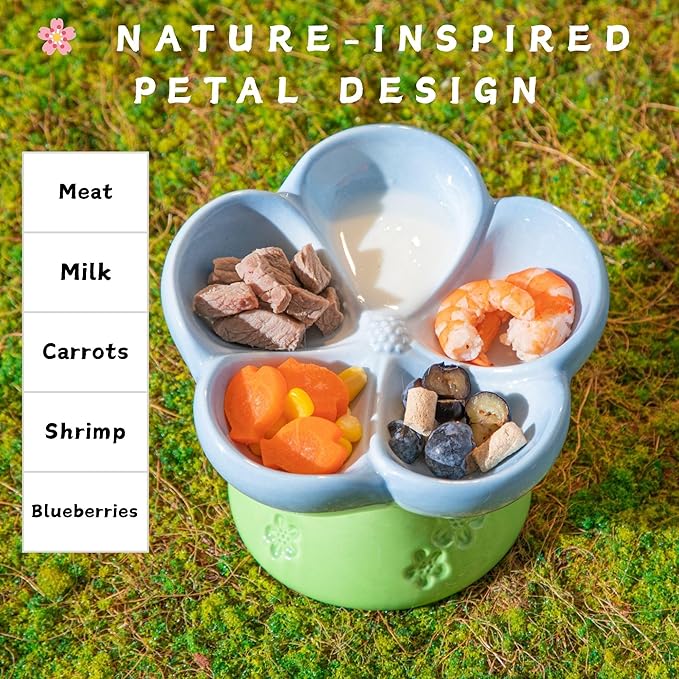 Ceramic Cat Divided Bowl Flower Shaped (5 Sections) - 4 Inch Elevated Design Cute Slow Feeder Bowl, Heavy Base, Under-Glazed Gradient Color - Separates Dry/Wet Food, Veggies, Fruits & Treats