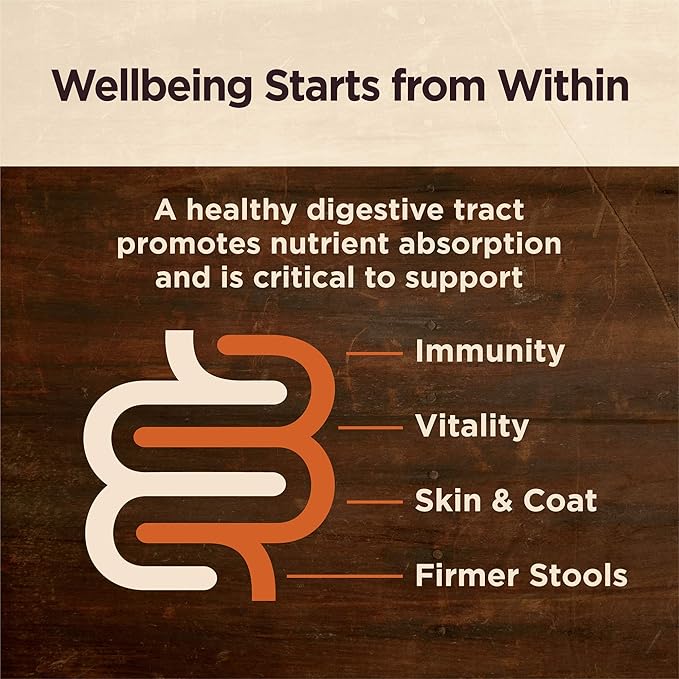 Wellness CORE Digestive Health Senior Dry Dog Food, Wholesome Grains, Natural, Recipe for Dogs with Sensitive Stomachs, Age Advantage Chicken & Brown Rice, (4-Pound Bag)