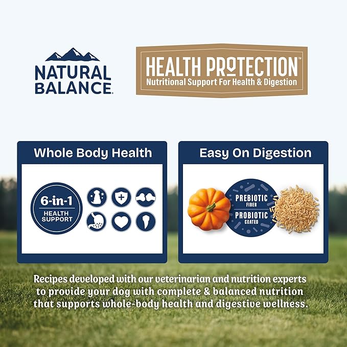 Natural Balance Health Protection Puppy Dry Dog Food – Whole Body Health, Easy on Digestion Dog Food Made with Chicken, Brown Rice & Pumpkin for Puppies - 12lbs.