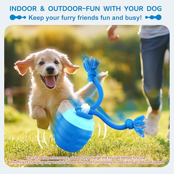 Interactive Dog Toy, [Newly Upgraded] Motion Activated Rolling Ball for Small Dogs, Automatic Moving Dogs Ball for Boredom, USB Rechargeable(Blue)