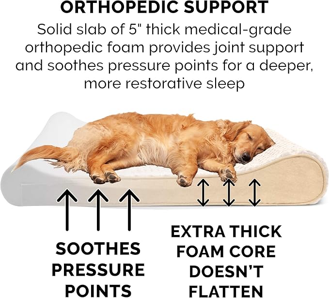 Furhaven Orthopedic Dog Bed for Extra Large Dogs w/ Removable Washable Cover, For Dogs Up to 180 lbs - Ultra Plush Faux Fur & Suede Luxe Lounger Contour Mattress - Cream, Giant/XXXL