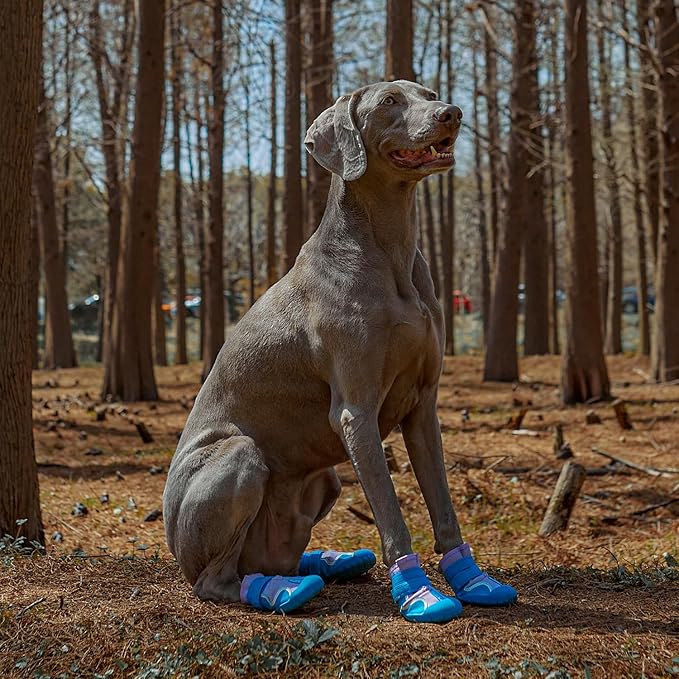 Dog Shoes, Waterproof Dog Boots & Paw Protectors with Anti-Slip Sole, 4pcs/Set Pet Dog Booties, Reflective Dog Shoes for Small Medium Large, Winter Snowy Summer Hot Pavement (Blue, 6# (L))