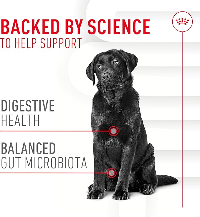 Royal Canin Digestive Dog Supplement Soft Chews for Adult Dogs, 60 Count (Pack of 2)