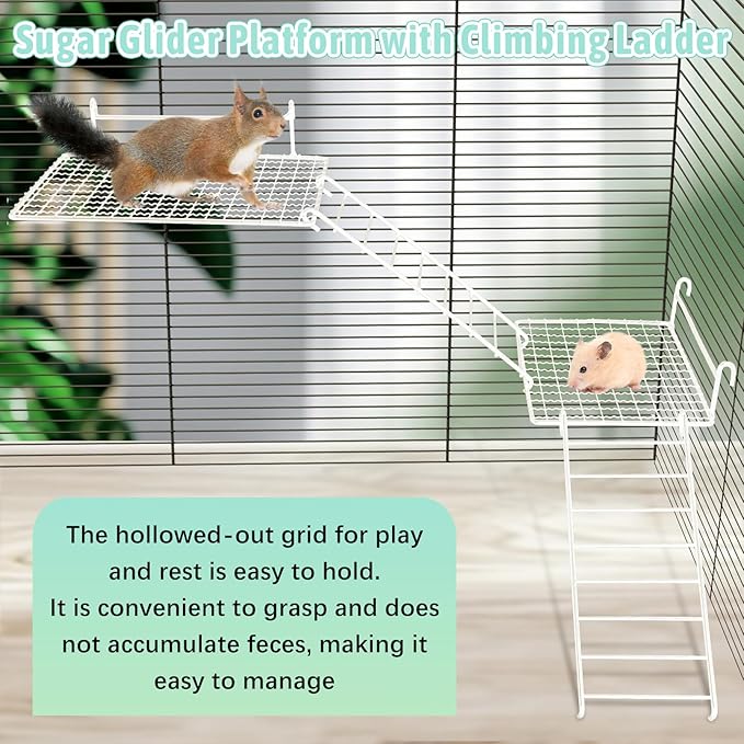 BNOSDM Rat Cage Platform with Ladder 4 PCS Small Animals Cage Accessories Metal Guinea Pig Climbing Toy for Sugar Glider, Chinchillas, Squirrel, Gerbils, Mouse Standing Jumping