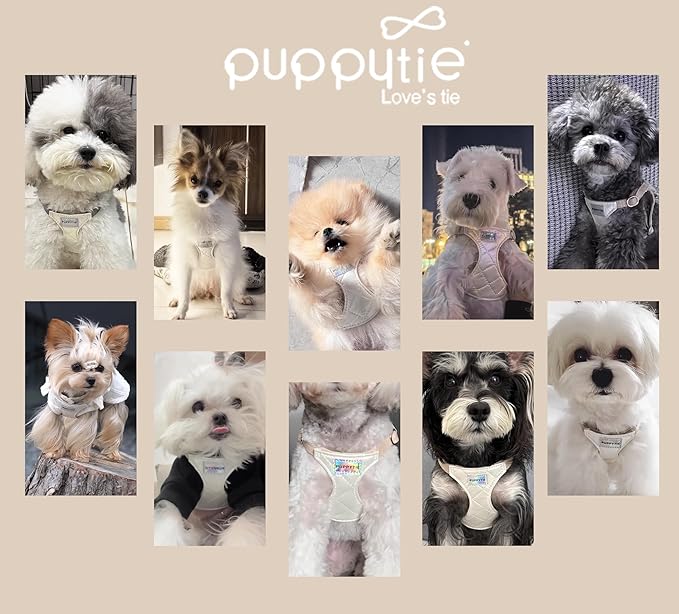 Puppytie No Pull xs Dog Harness with Multifunction Dog Leash,Soft Adjustable No Choke Escape Proof Pet Harness Vest,Glossy Pearl White,XS