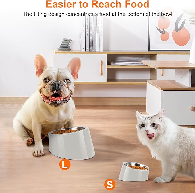 Tilted Dog Bowl Non-Slip & Non-Spill Pet Feeder with Elevated Detachable Melamine Stand, Easy to Get Food Dog Dish, L/300ml Gray