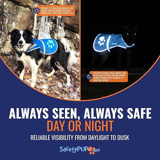 SafetyPUP XD Dog Reflective Vest – Hi-Vis Fluorescent Visibility That Helps to Safeguard Your Pet On/Off Leash in Urban & Rural Areas (Blue, X-Large)