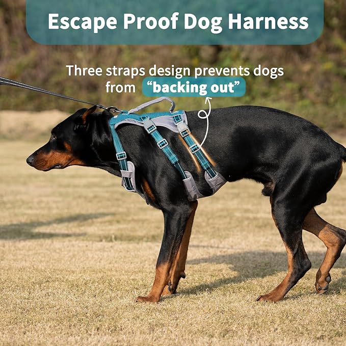 Huntboo Reflective Dog Harness with Handle, Escape Proof, No Slip, Breathable, Lightweight, Adjustable Lift Harness for Small, Medium, and Large Dogs Walking, Training, and Running Gear(Teal Blue,L)