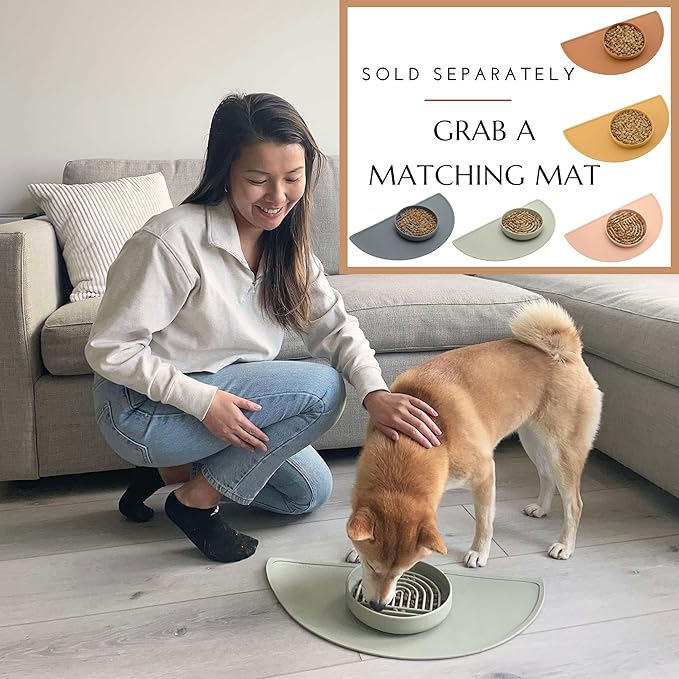 Should We Go? Slow Feeder for Dogs & Cats, The Slowdown Bowl Silicone Slow Eating Mealtime Solution with Modern Lick Mat Design, Reduces Gulping, Fits 1 Cup, 6” Across x 1.25” Tall, Small-Sage