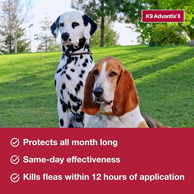 K9 Advantix II Large Dog Vet-Recommended Flea, Tick & Mosquito Treatment & Prevention | Dogs 21-55 lbs. | 2-Mo Supply (Packaging may vary)