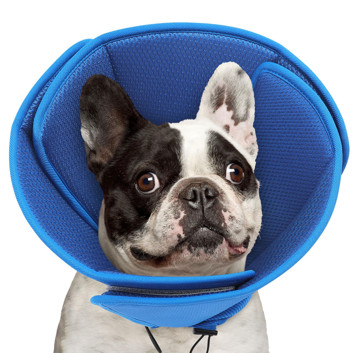 Soft Dog Cone for Small Dogs, Adjustable Comfy Dog Cone Collar - Image 1