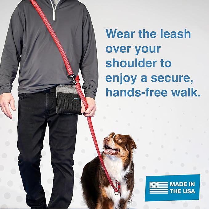 Blue-9 Reflective Multi-Function Dog Leash, Double Attachment Adjustable Lead for Obedience Training and Running, 6 Feet, Made in The USA, Medium/Large, Red