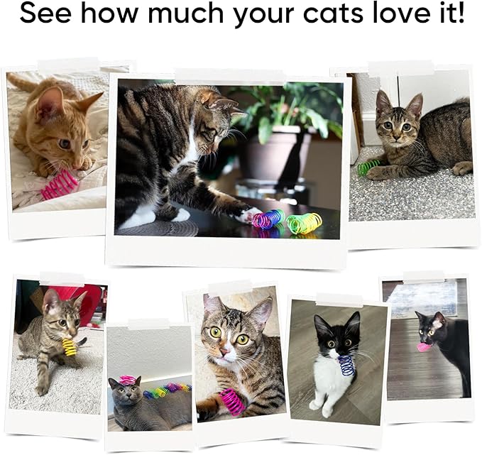 AGYM 6Colors Plastic Spring Cat Toys, 90 Pack Spiral Springs for Indoor Cats to Swat, Bite, Hunt, Interactive Toys for Cats and Kittens