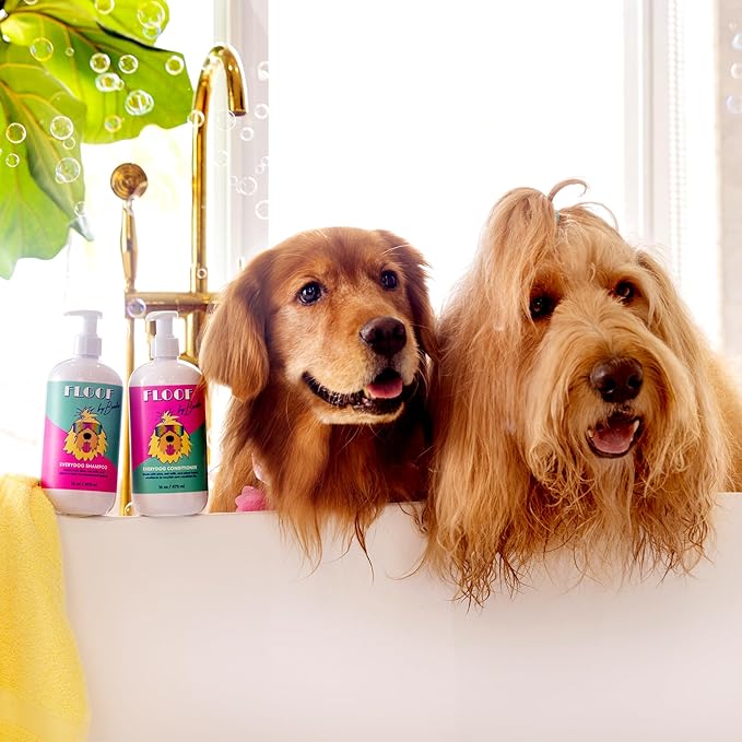 Floof by Brodie Everydog Nourishing Dog and Cat Conditioner for All Coat Types, Moisturizing and Detangling with Aloe, Oat Milk, Plant Based Emolients for Shiny Soft Smooth Coat (16 oz)