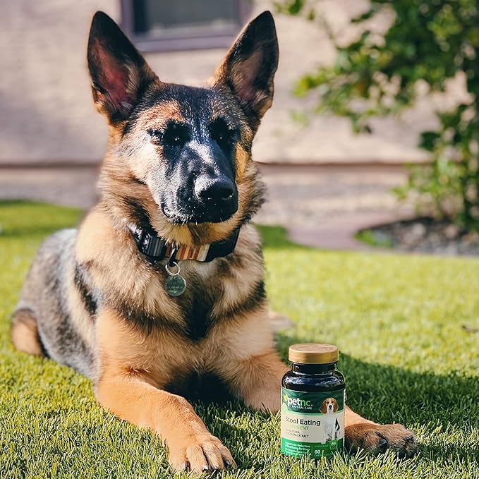 PetNC Natural Care Stool Eating Deterrent Chewables for Dogs, 60 Count