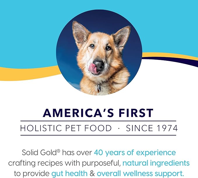 Solid Gold Beef Bone Broth for Dogs - Grain Free Dog Food Topper Rich in Collagen and Superfoods - Nutrient Dense Dog Gravy Topper for Dry Food - Promotes Gut Health and Hydration - Single