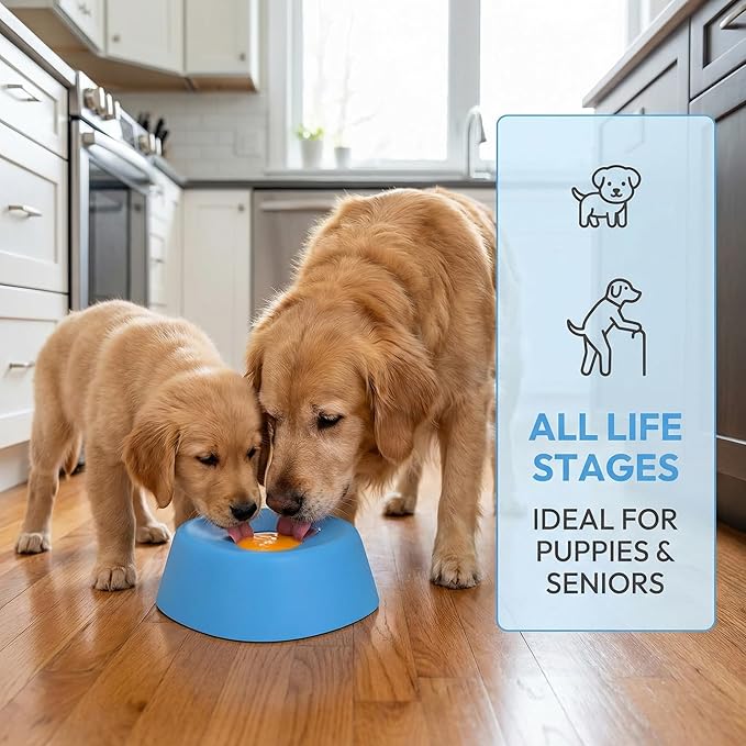 Slow Feeder Dog Bowls for Liquid Treat, Interactive Lick Bowl Anti-Slip Slow Feeder for Wet Food, Anti-Slip Bone Broth Dog Lick Bowl, Bone Broth & Yogurt, for Dogs and Cats