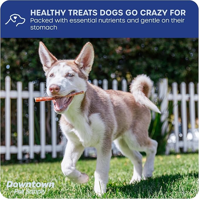Downtown Pet Supply USA Sourced Bully Sticks for Dogs - Grass-fed Beef Chews, Low-Odor & Rawhide-Free, Long Lasting Dog Treats for Heavy Chewers - Healthy, Safe & Delicious Chews (12" 10 Pack)