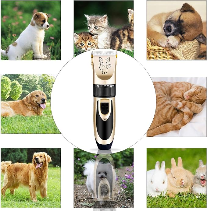 Highdas Dog Grooming Kit Clippers, Low Noise, Electric Quiet, Rechargeable, Cordless, Pet Hair Thick Coats Clippers Trimmers Set, Suitable for Dogs, Cats, and Other Pets (Gold)