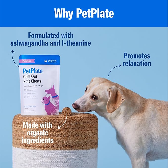 PetPlate Chill Out Soft Chews, Calming and Relaxation Support Supplement for Dogs, Organic and Human-Grade Ingredients, Includes Ashwagandha & L-theanine, Pet Supplies (Pack of 1, 9.8 Ounce)