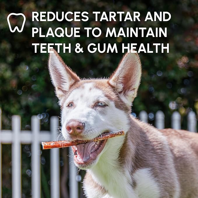 Downtown Pet Supply USA Sourced Bully Sticks for Dogs - Grass-fed Beef Chews, Low-Odor & Rawhide-Free, Long Lasting Dog Treats for Heavy Chewers - Healthy, Safe & Delicious Chews (12" 30 Pack)