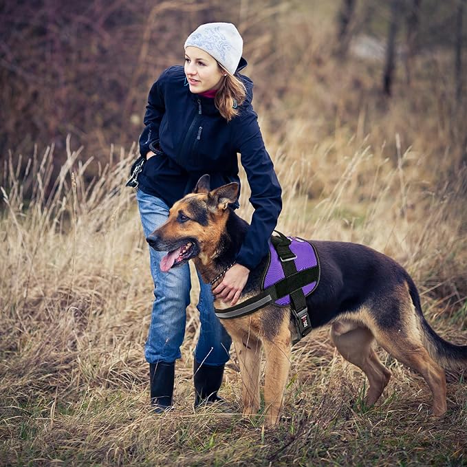 Dogline Dog Harness, Reflective No-Pull Adjustable Vest with Handle for Walking, Training, Breathable, No - Choke Harness for Small, Medium or Large Dogs Room for Patches Girth 33"-46" in Purple