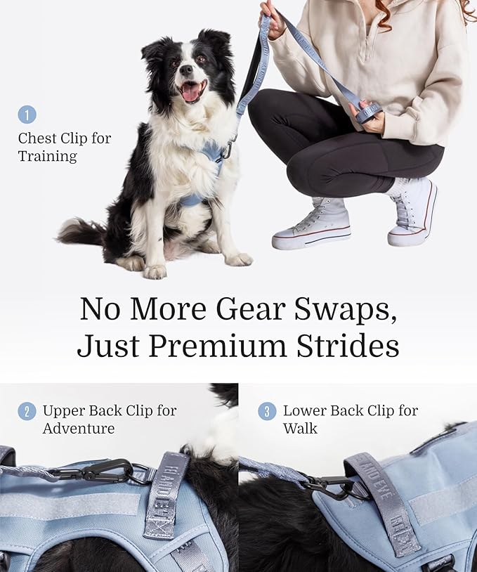 2025 New Edition, Fei & Eve Classic Dog Harness - Quick-Release Buckles | 3-Point No-Pull Control | Heavy-Duty 900D Nylon | Dual Safety Handles | Breathable Mesh | Adjustable Fit | Large,Blue