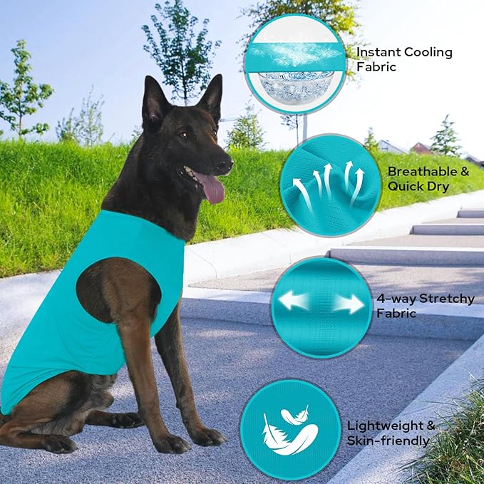 2-in-1 Dog Shirts, Soft and Cool T-Shirt Vests, Stretchy Summer Pet Clothes for Medium to Large Pets - Purple & Blue (XL)
