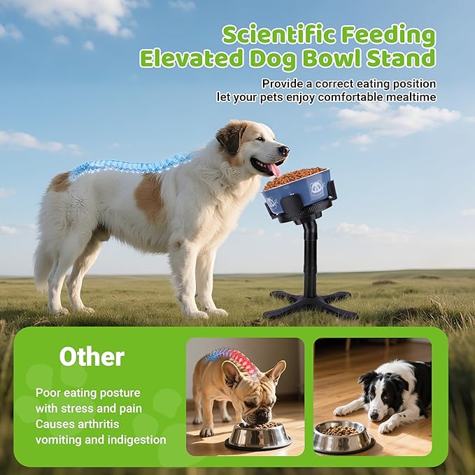 Dog Bowls,Elevated Adjustable Dog Bowl Stand with 3 Heights & Tilted Feeding Design, Raised Stand Compatible with Medium & Large Breeds(with Bowl) Black