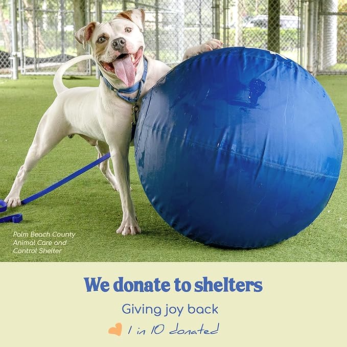 Race&Herd 22" Original XXL Herding Ball for Dogs - Herding Toys, Giant Dog Ball for Australian Shepherds, Border Collies - Durable Dog Outdoor Training Toy for Small & Medium Breeds (Blue)