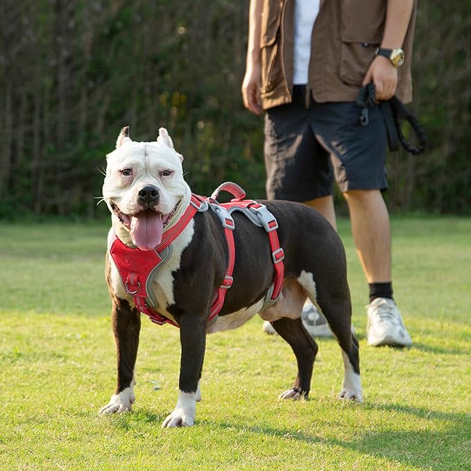 Huntboo Escape Proof Dog Harness, Escape Artist Harness, Reflective Harness with Padded Handle, Breathable, Durable, Adjustable Vest for Medium Dogs Walking, Training, and Running Gear (Red, M)