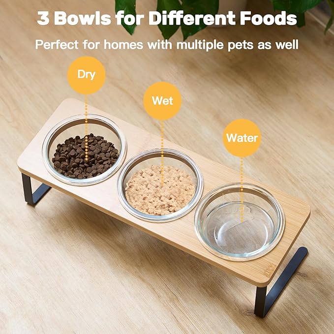 Elevated Cat Bowls, 15° Tilted Cat Food Bowl, Includes 3 Glass Bowls, Bamboo Board, and Metal Stand for Cats and Puppies