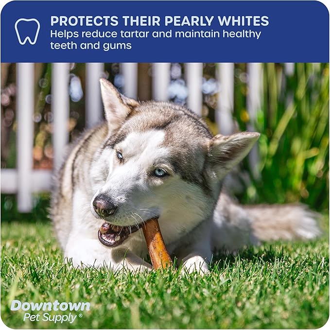 Downtown Pet Supply USA-Made 12", 1 Lb. Jumbo Bully Sticks for Large Dogs - Rawhide Free Dog Chews Long Lasting and Non-Splintering - Single Ingredient, Low Odor Bully Sticks for Medium Dogs