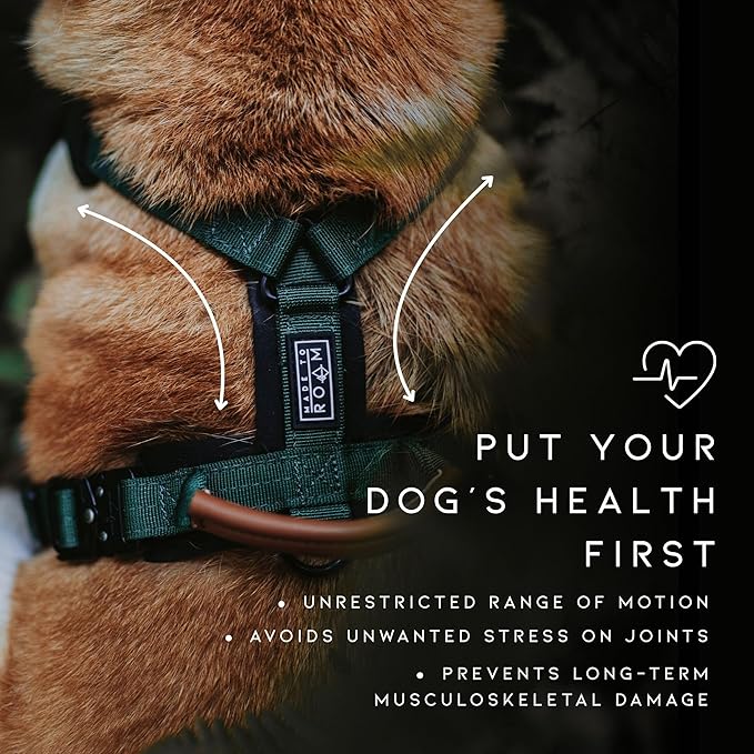 MADE TO ROAM Premium Explorer Harness - Y-Shaped Dog Harness with Adjustable Durable Nylon, Soft Padding, Metal Buckles and Leather Handle for Small, Medium, Large Dogs (Texas Flair, Size 7)