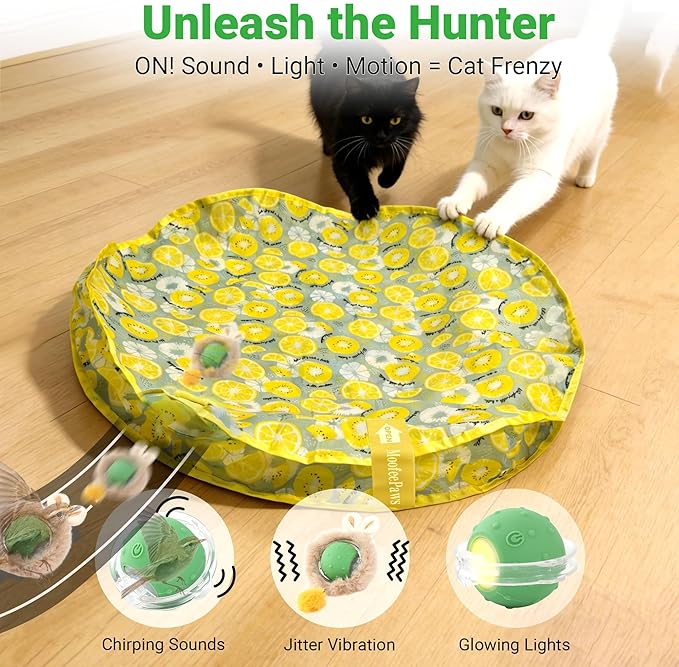 Interactive Cat Toys for Indoor Cats Fast Rolling Ball, Automatic Motion Activated Ball, Hide and Seek for Indoor Exercise Toys, Real Bird Squeaky for Kitten Exercise Kicker (Yellow)