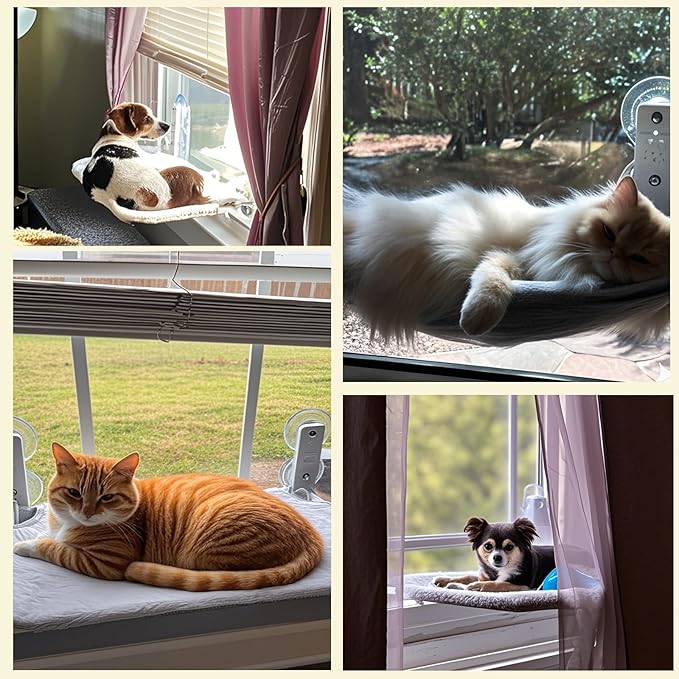 2PC Cat Window Perch, Cordless Foldable Cat Hammock for Indoor Cats with Upgraded Suction Cups Strong Metal Frame Holds Up to 44lbs (M 2PC)