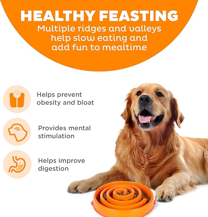 Outward Hound Slow Feeder Dog Bowl – Prevents Bloating & Fast Eating – Large 4 Cup Orange Swirl