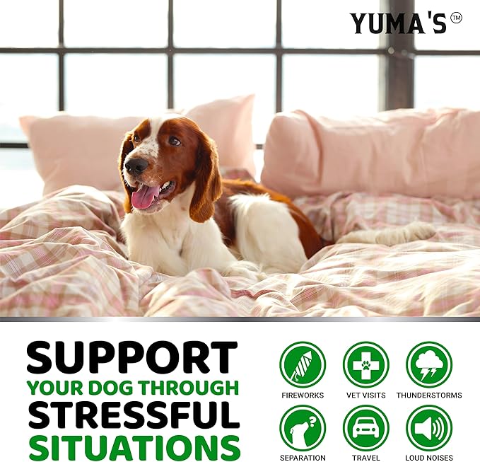 Hemp Calming Chews for Dogs - Advanced Dog Calming Chews - 170 Treats - Anxiety Relief Treats - Hemp Oil - Separation Aid, Stress, Hip and Joint Supplement for Canine Health Support - Beef Flavor