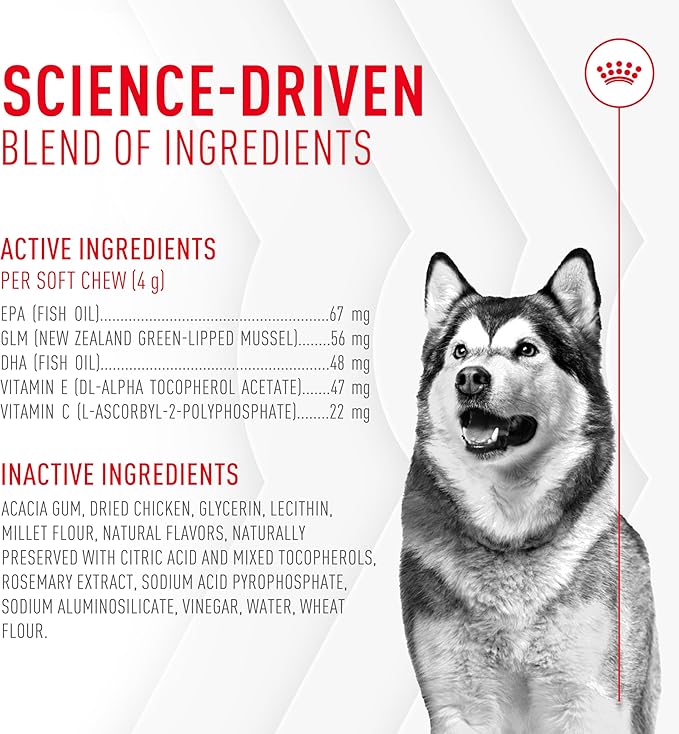 Royal Canin Joint Dog Supplement Soft Chews for Adult Dogs, 60 Count (Pack of 2)