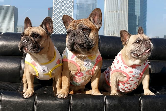iChoue 100% Breathable Cotton French Bulldog Halloween Cartoon T Shirts Cute Clothes for Dogs Vest Tank Tops Puppy Frenchie Pug Small Puppy English Boston Terrier Watermelon Banana - Medium