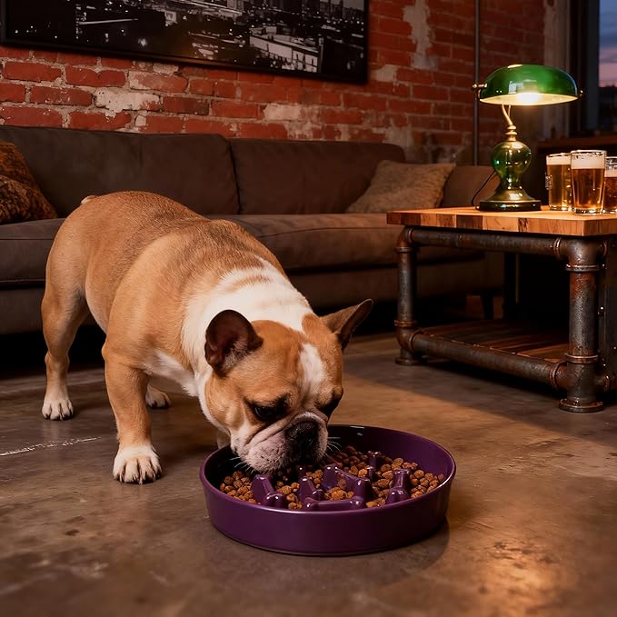 Ceramic Slow Feeder Dog Bowl, 1.5 Cup Dog Food or 20oz Water, Slow Eating Bowl for Small Breed, Maze Puzzle Feeder for Fast Eaters, Anti-Choking Stop Bloat, Non-Slip BPA Free (Purple)
